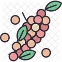 Pimienta Especias Vegetales Icono