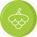 Pina Icon