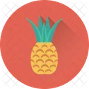 Pina Ananas Frutas Icono