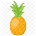 Pina Ananas Comosus Icono