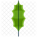 Pinnate Verdura Folha Ícone