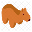 Untitled Icon