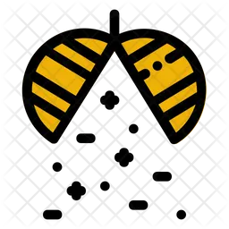 Pinata  Icon