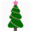 Pine Christmas Tree Icon