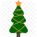 Pine Christmas Tree Icon