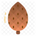 Pine Nut Cone Icon