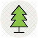 Pine  Icon