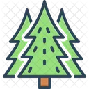 Pine Cedar Fir Tree Icon
