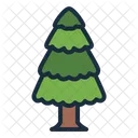 Pine Tree Botanical Icon