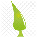 Pine Tree Plant Icon