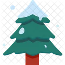 Pine Tree Christmas Tree Icon