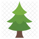 Pine Pine Tree Tree Icon