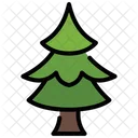 Pine Pine Tree Tree Icon