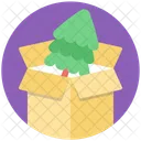 Pine Box Christmas Icon