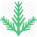 Pine Branch  Icon