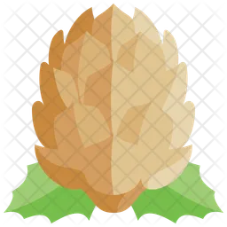 Pine cone  Icon