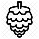 Pine Cone Icon
