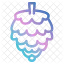 Pine Cone Autumn Nut Icon