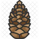 Pine Cone Nut Icon
