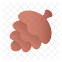 솔방울 잣 소나무 아이콘