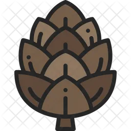 Pine cone  Icon