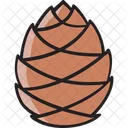 Pine Cone Conifer Cone Nature Icon