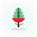 Pine Cone Icon