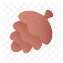 Pine Cone  Icon