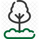 Pine Evergreen Tree Icon