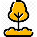 Pine Evergreen Tree Icon