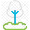 Pine Evergreen Tree Icon