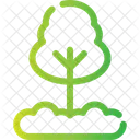 Pine Evergreen Tree Icon