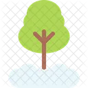 Pine Evergreen Tree Icon