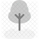 Pine Evergreen Tree Icon