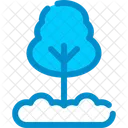 Pine Evergreen Tree Icon