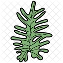 Pine Leaf  Icon