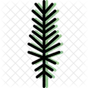 Pine leaf  Icon