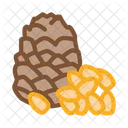 Pine Nut  Icon