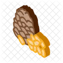 소나무 견과류 음식 아이콘