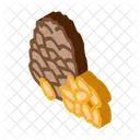 Pine Nut Food Icon