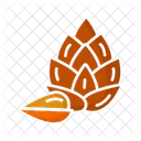 Pine Nut Nut Seed Icon