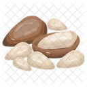 Pine Nuts  Icon