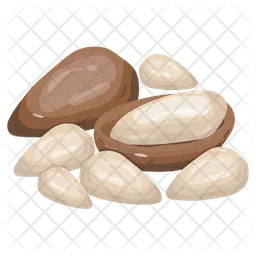 Pine Nuts  Icon