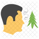 Pine Smell Human Inhaling Relaxing Leaf Icon