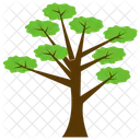 Huangshan Pine Tree Icon