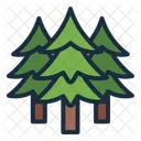 Pine Tree Pine Tree Icon