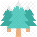 Pine Tree Fir Tree Forest Icon