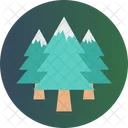 Pine Tree Fir Tree Forest Icon