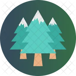 Pine Tree  Icon