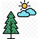 Fir Tree Larch Tree Pine Tree Icon